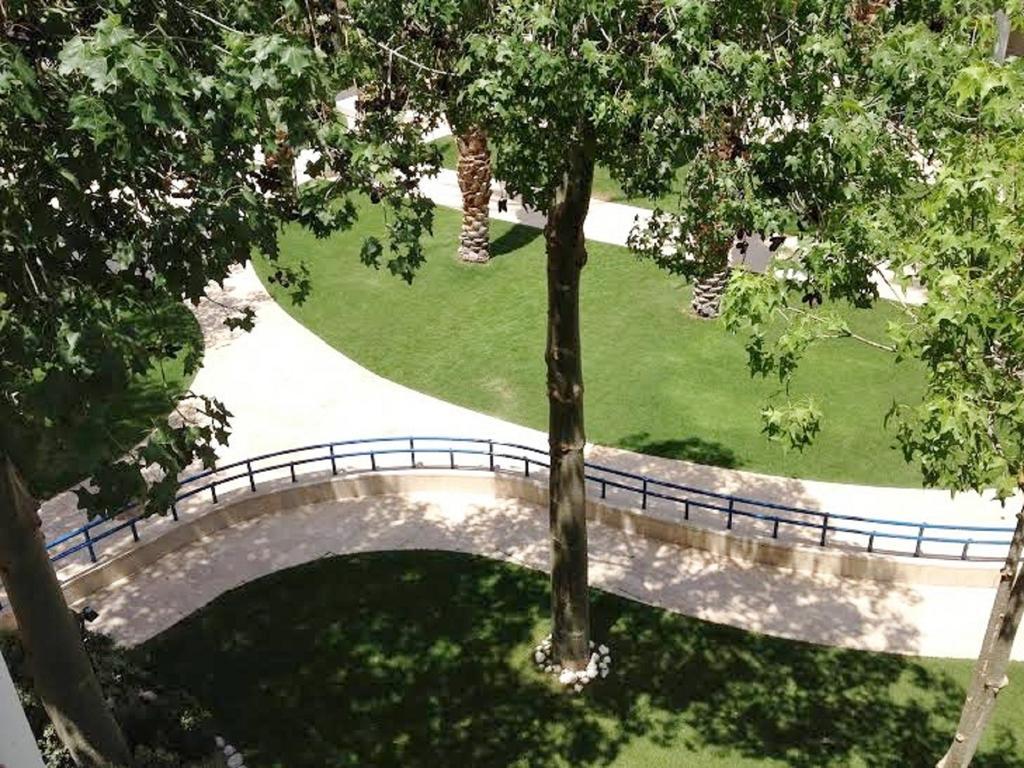Apartment Royal Park